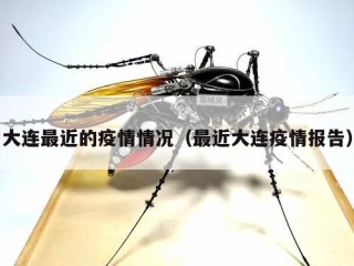 大连最近的疫情情况（最近大连疫情报告）