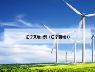辽宁又增1例（辽宁新增1）