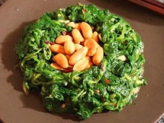 猫先生菠菜,猫先生菠菜 V3.52.9绿色纯净版／安卓通用版