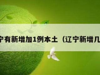 辽宁有新增加1例本土（辽宁新增几例）