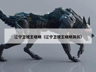 辽宁卫视王晓明（辽宁卫视王晓明简历）