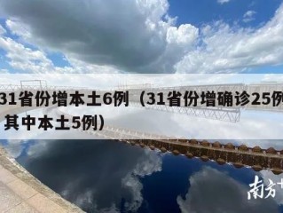 31省份增本土6例（31省份增确诊25例 其中本土5例）