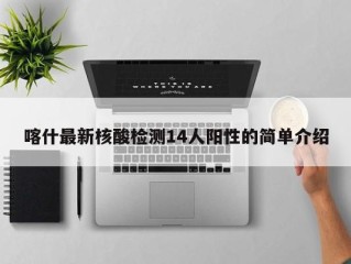 喀什最新核酸检测14人阳性的简单介绍